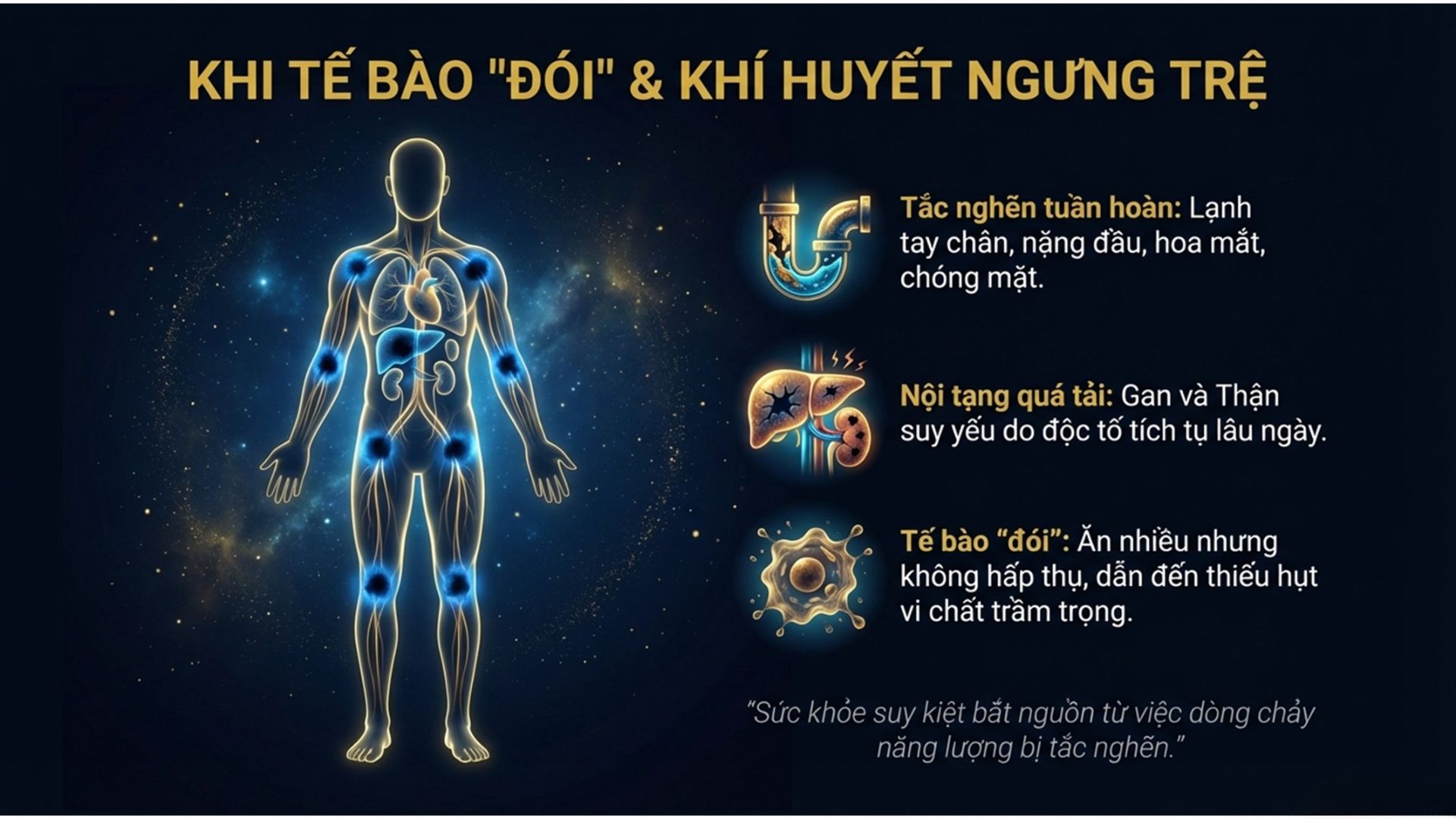 Khi Tế Bào Đói và Khí Huyết Ngưng Trệ