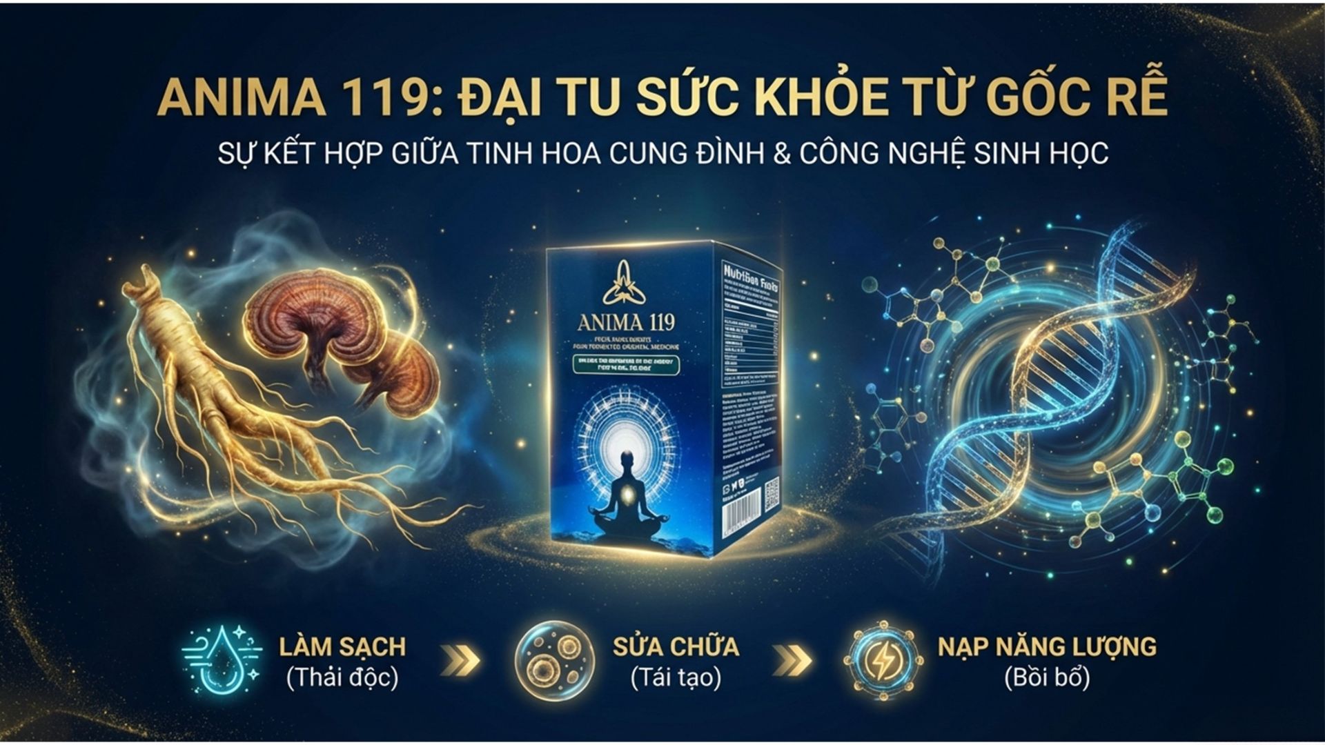 ANIMA 119: Đại Tu Sức Khỏe Từ Gốc Rễ