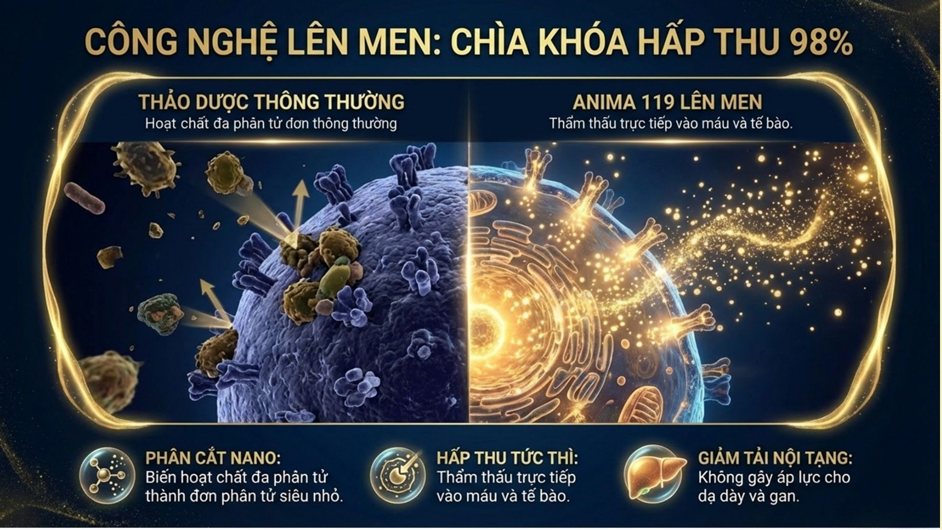 Công Nghệ Lên Men: Chìa Khóa Hấp Thu 98%
