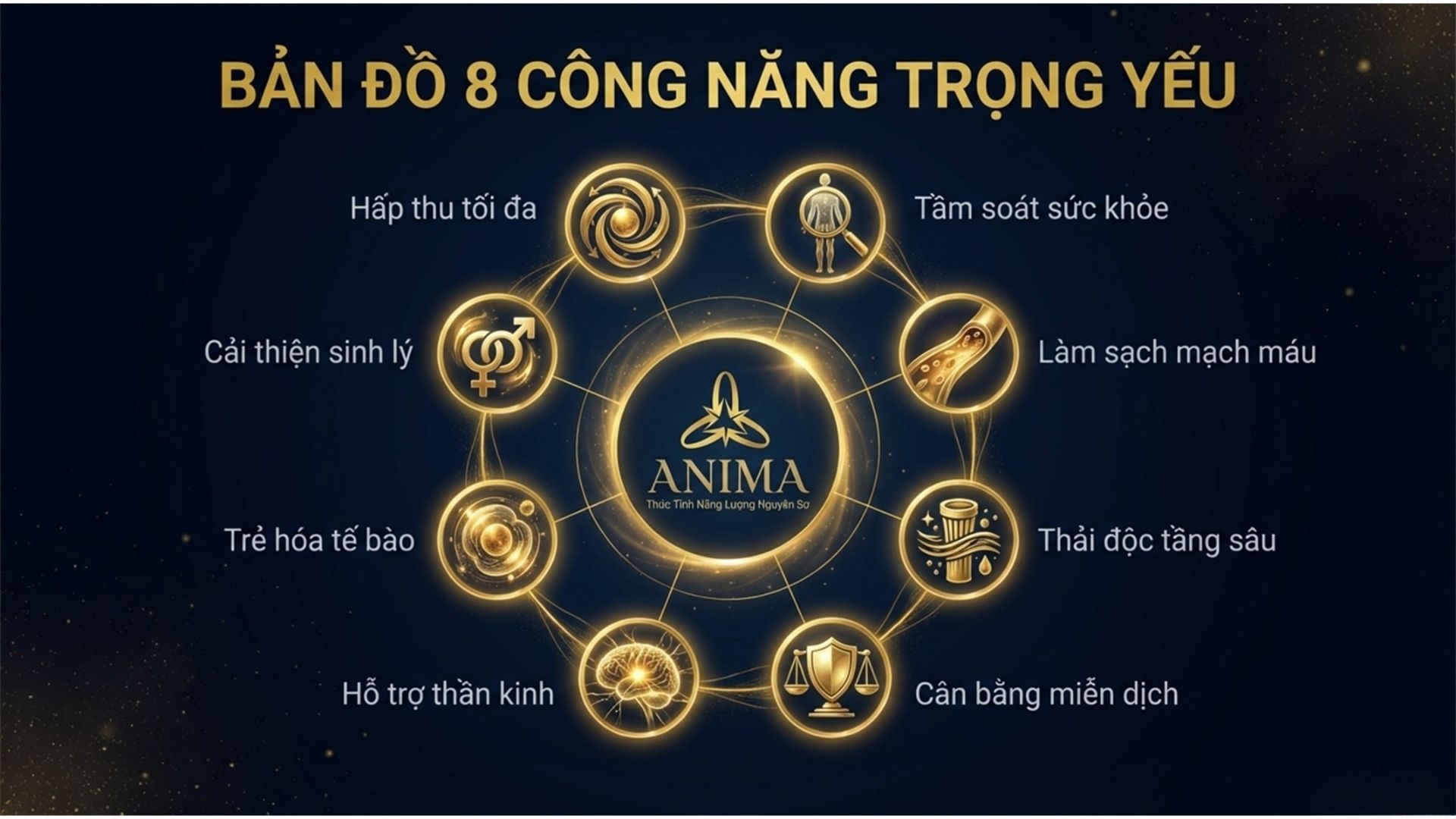 Bản Đồ 8 Công Năng Trọng Yếu