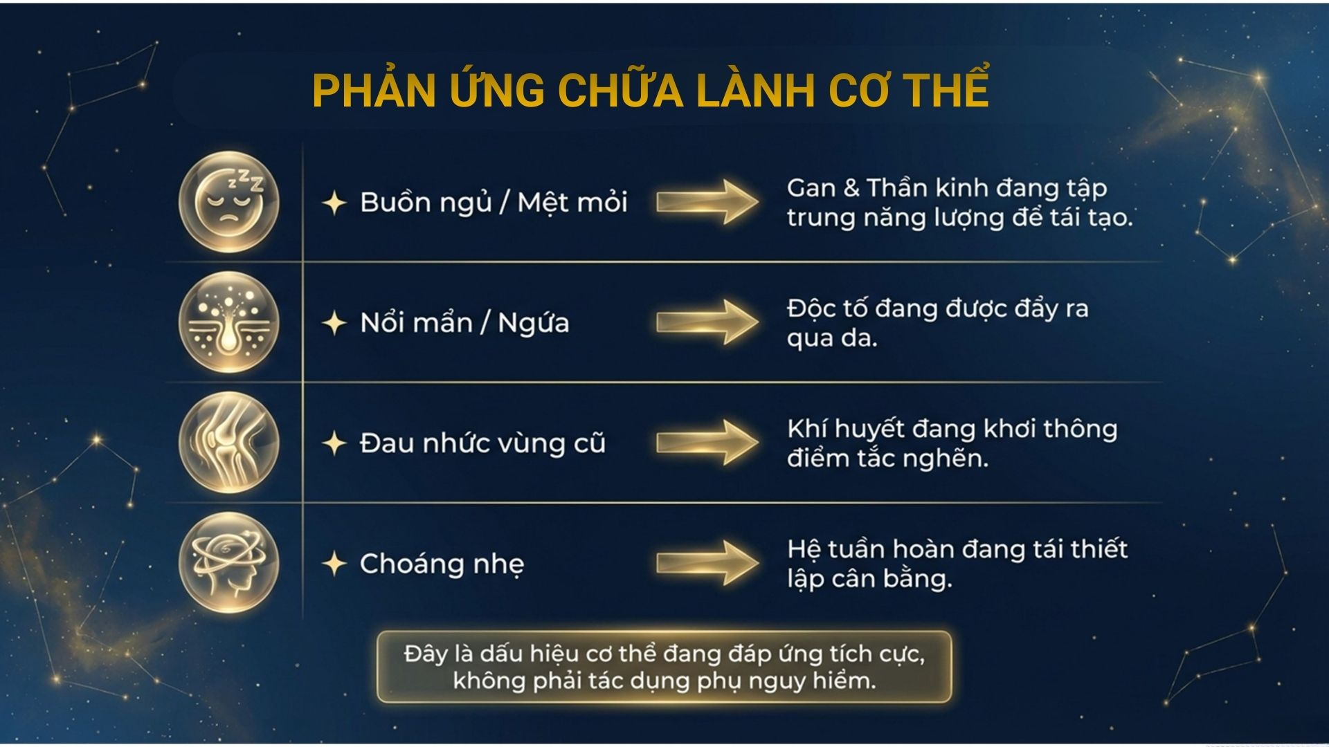 Phản Ứng Chữa Lành Cơ Thể